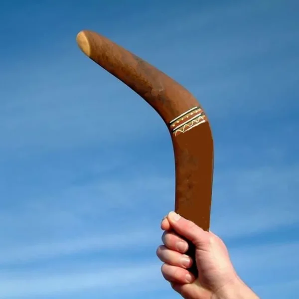 New Kangaroo Throwback V Shaped Boomerang Flying Disc Throw Catch Outdoor Game kids toys Parent-child interactive game props - Imagem 4